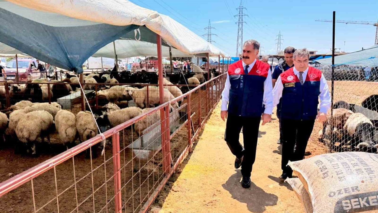 Mersin’de Kurban Bayramı öncesi satış noktalarında sıkı denetim
