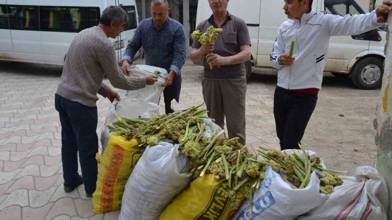 Yaylalardan toplandı, tezgâhlarda satışa sunuldu