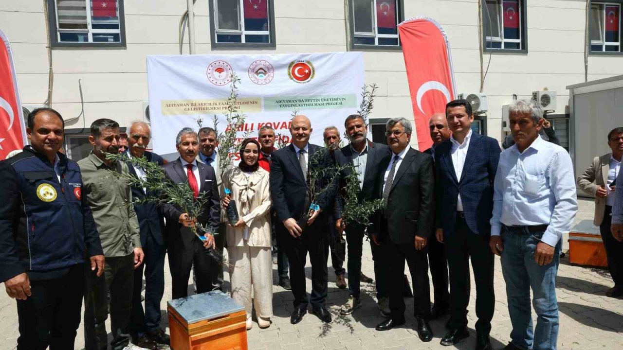 Adıyaman’da çiftçilere zeytin fidanı ve arılı kovan desteği