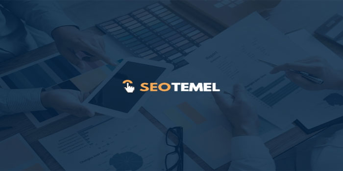 Doktorlar için SEO ile Hasta Kitlenize Organik Kanaldan Ulaşın!