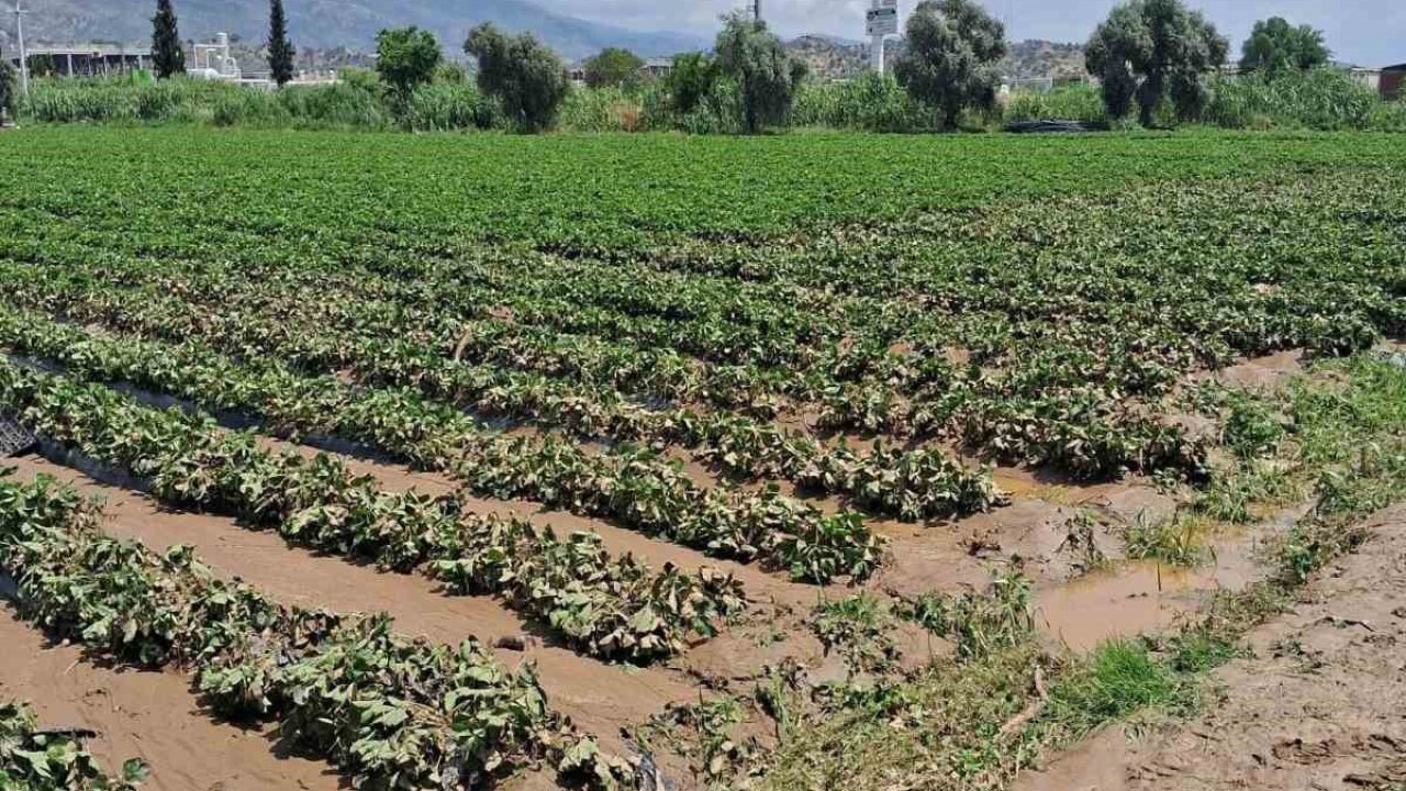 Köşk’te sel sonrası arazilerde hasar tespiti başlatıldı