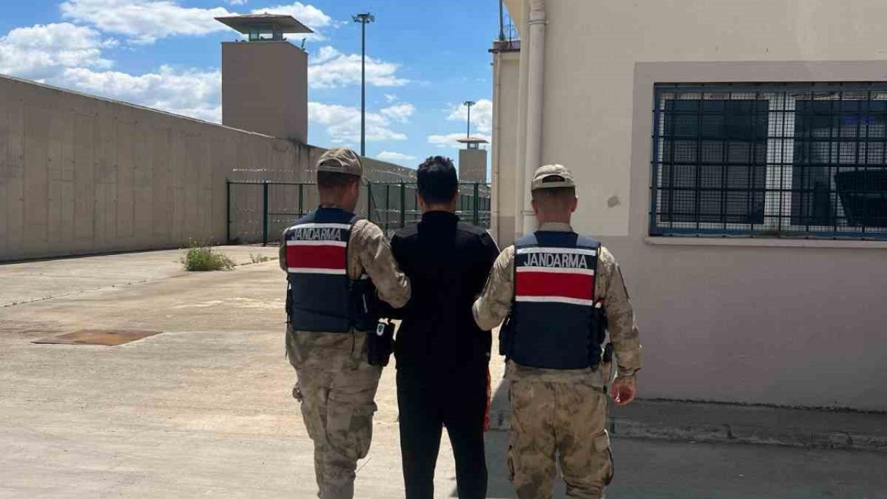 Göçmen kaçakçısı jandarmaya yakalandı