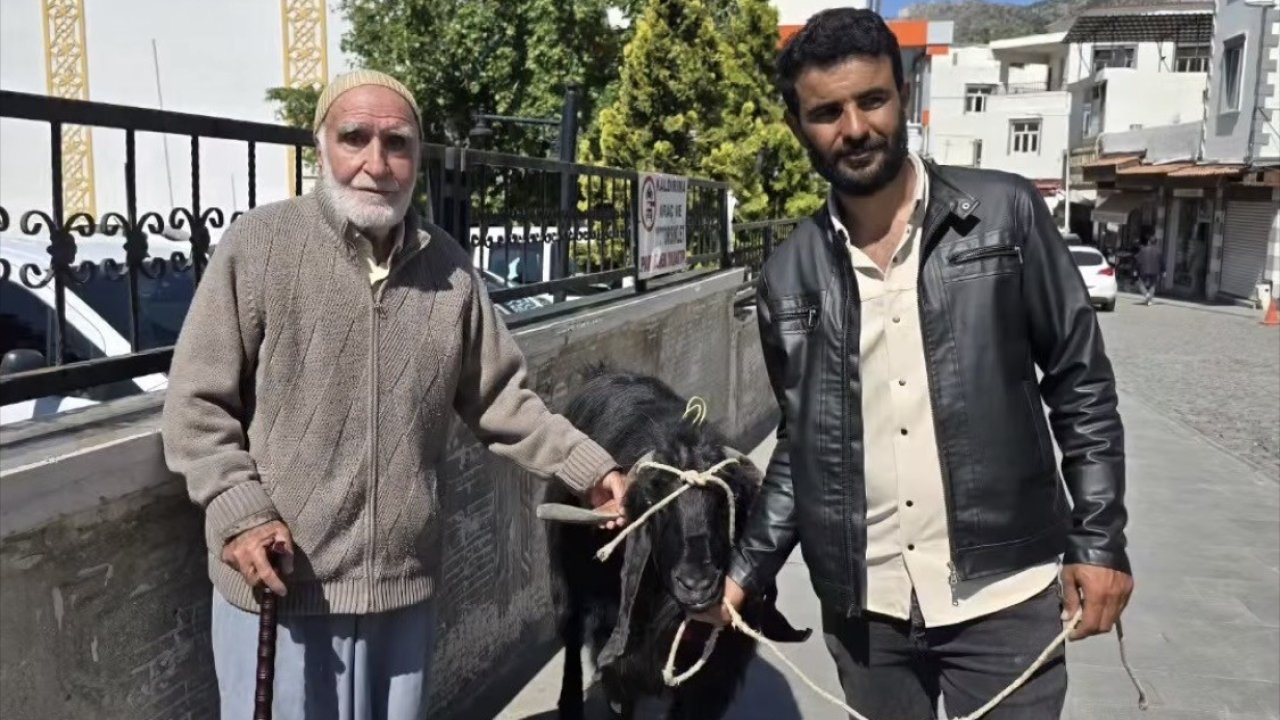 70 kiloluk dev keçi 36 bin liraya satıldı