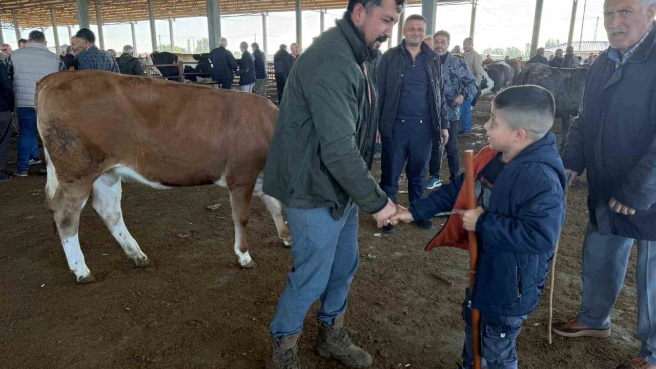 Iğdır’da kurban pazarlıkları sürüyor: Vatandaş küçükbaşa yöneldi