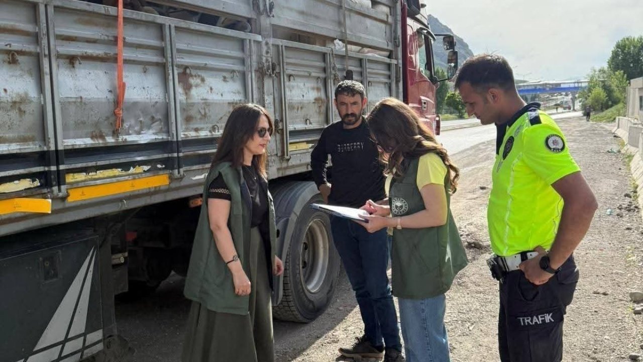 Tercan’da kurbanlık hayvan sevkiyatlarına sıkı denetim