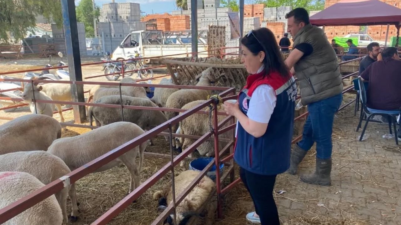 Aydın’da Kurban Bayramı boyunca denetimler sürecek