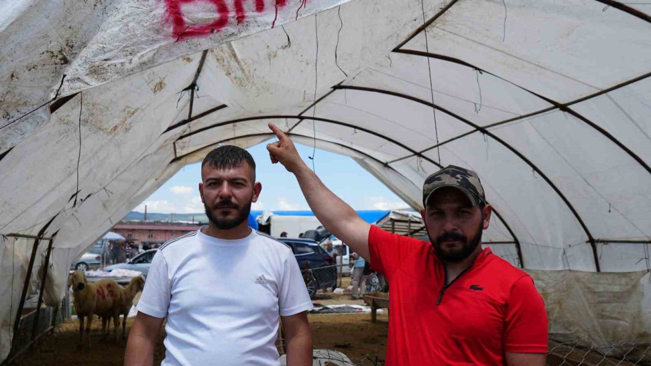 Kurbanlıklar alıcı buldu, yetiştirici bayrama mutlu girdi: "Dedikleri fiyata verdik, milleti kurbansız göndermedik"