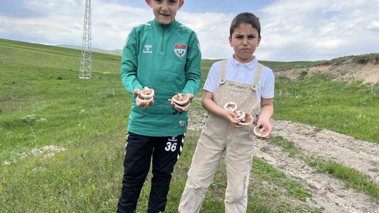 Kars’ta mantar bereketi: Çocuklar doğada hem eğlendi hem topladı