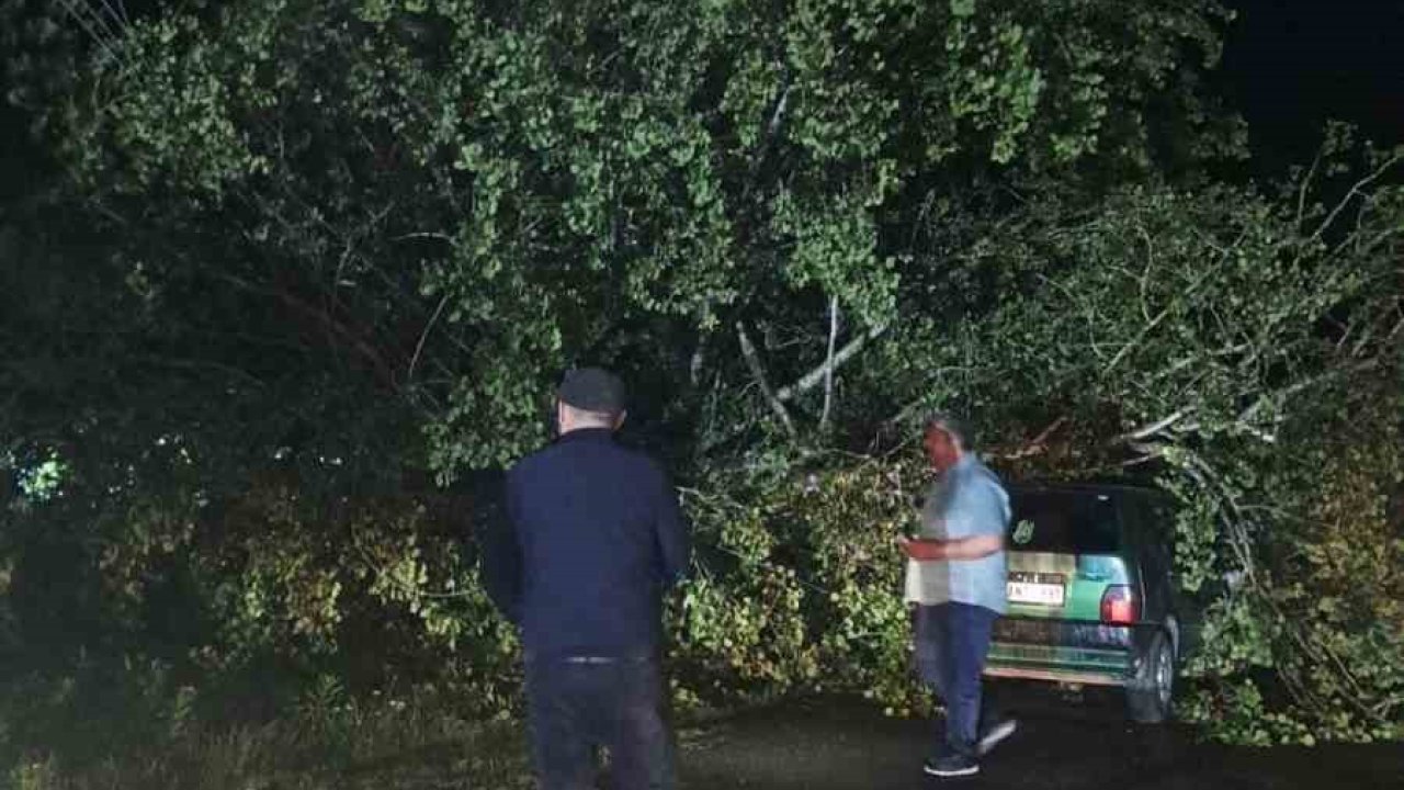 Bartın’da şiddetli fırtına: ağaçlar Otomobillerin üzerine devrildi