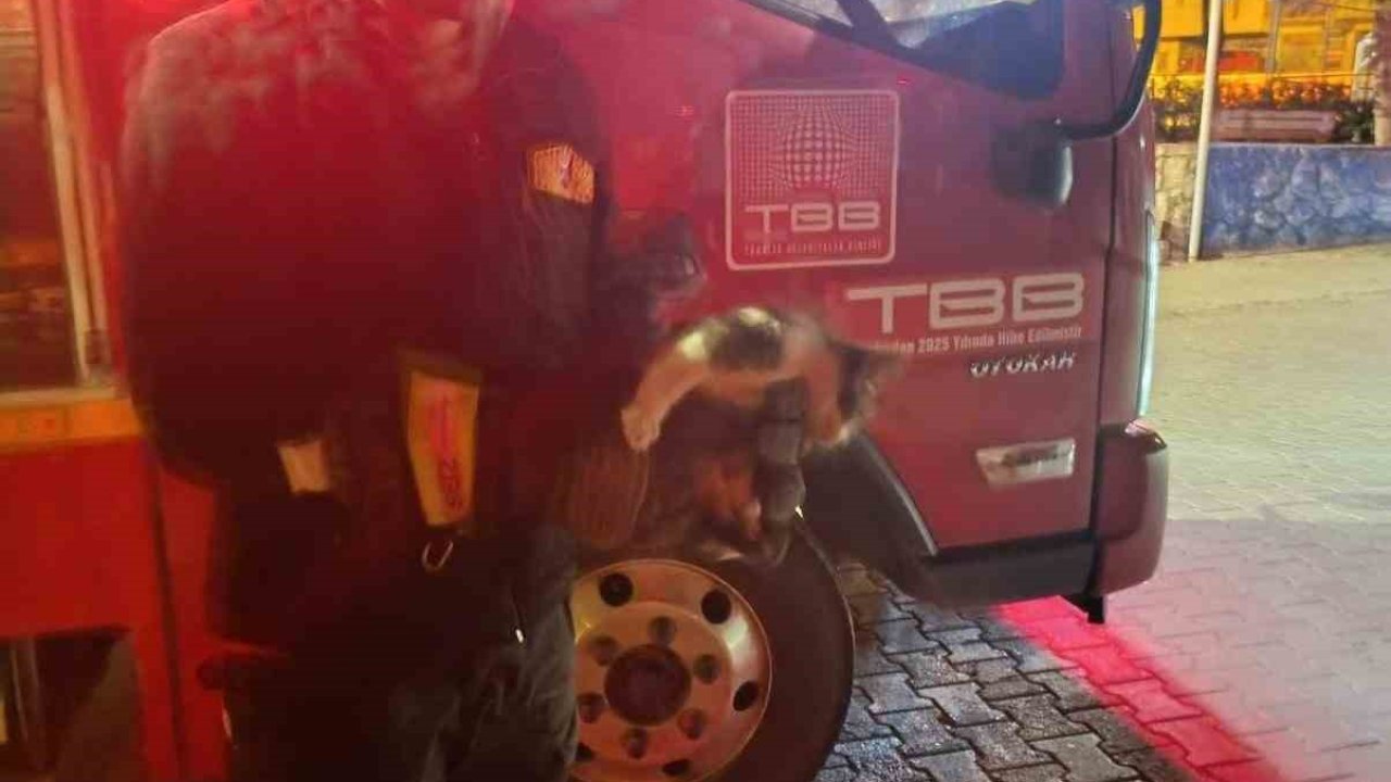 Motor kısmına sıkışan kedi için seferber oldular