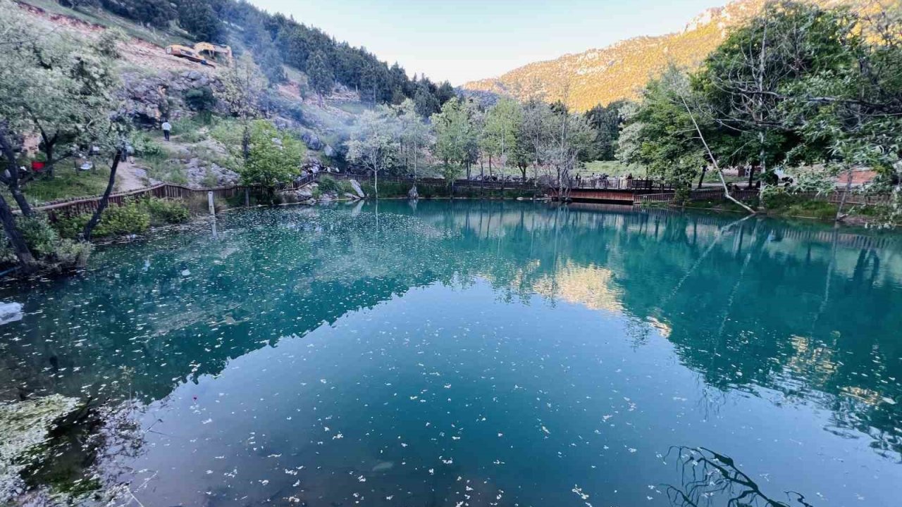 Kahramanmaraş’ta "Yeşilgöz" göz kamaştırıyor