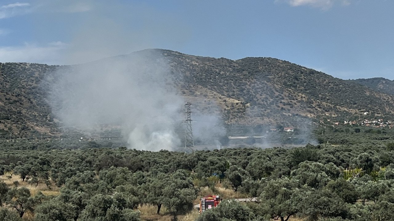 Bayındır’da zeytinlik alanda yangın