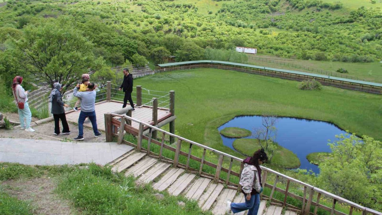 Bingöl’deki Yüzen Adalar’a bayramda ziyaretçi akını