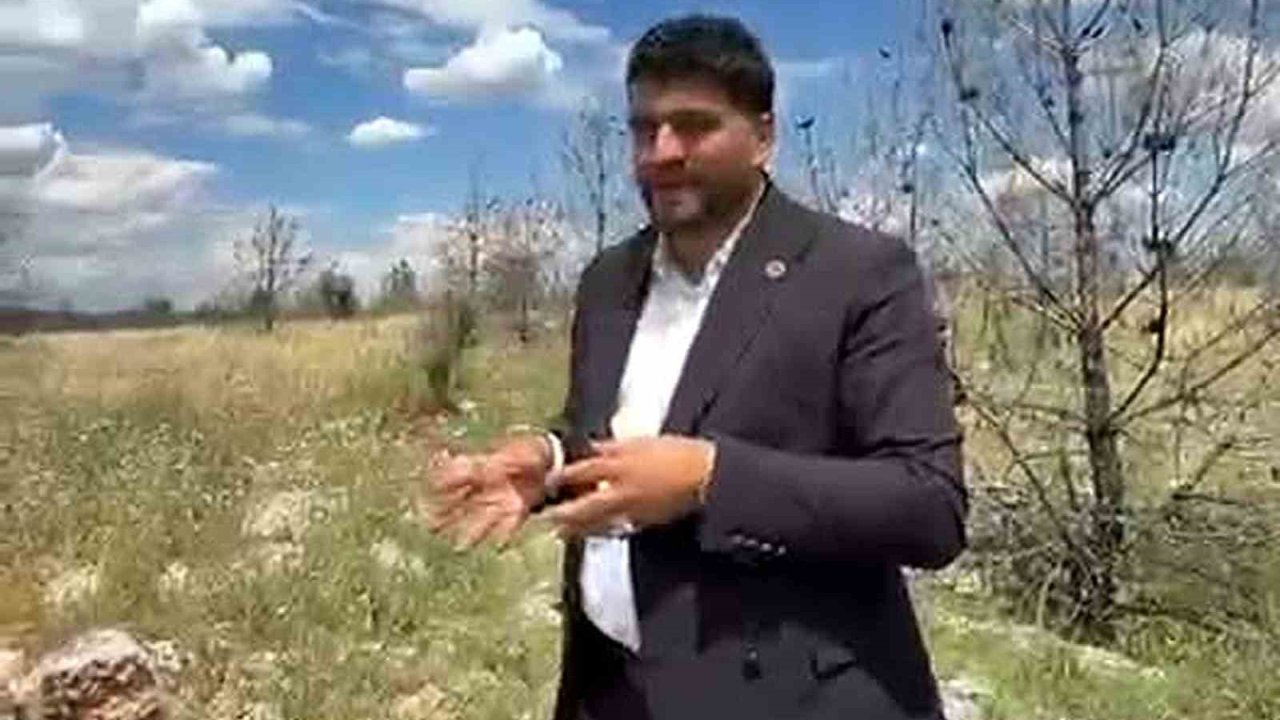 Vatandaşlardan ormanlık alana arazi yolu talebi