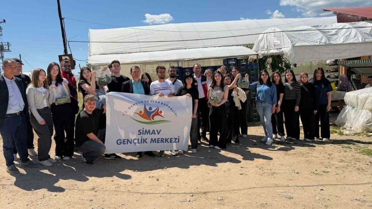 Simav’da gençler serada hasatla buluştu