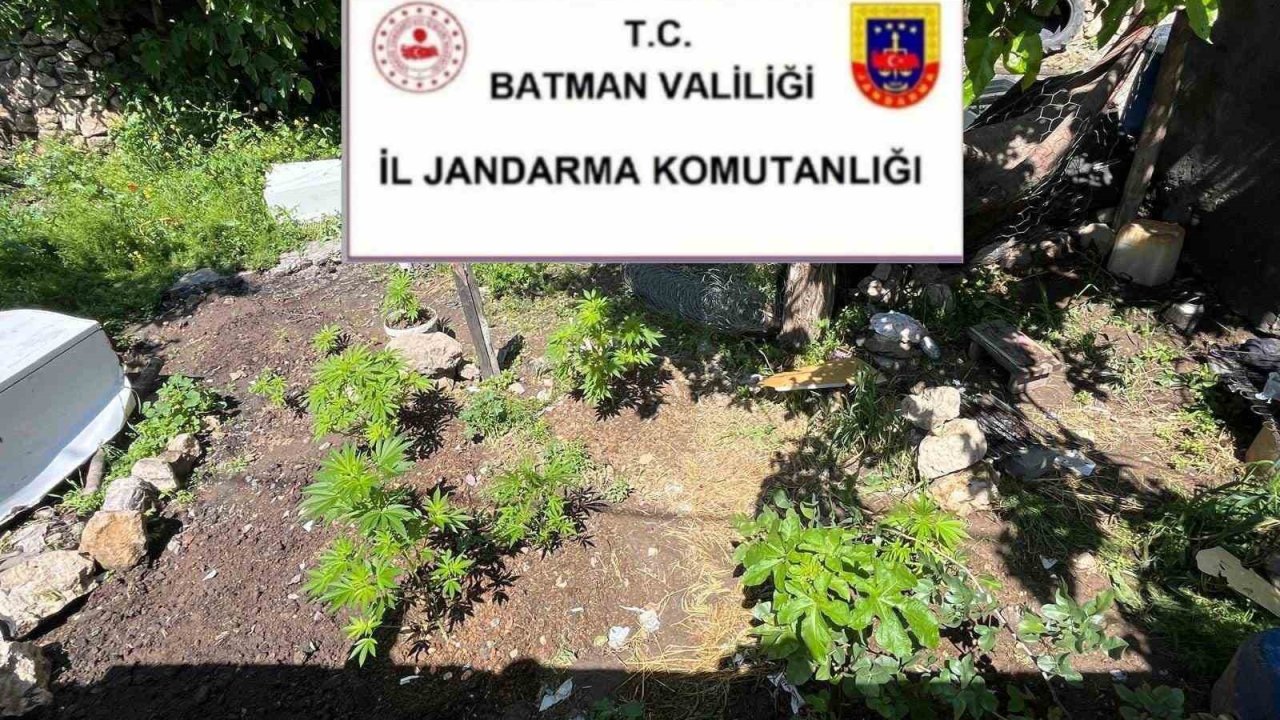 Batman’da uyuşturucu ve kaçak ürün operasyonu