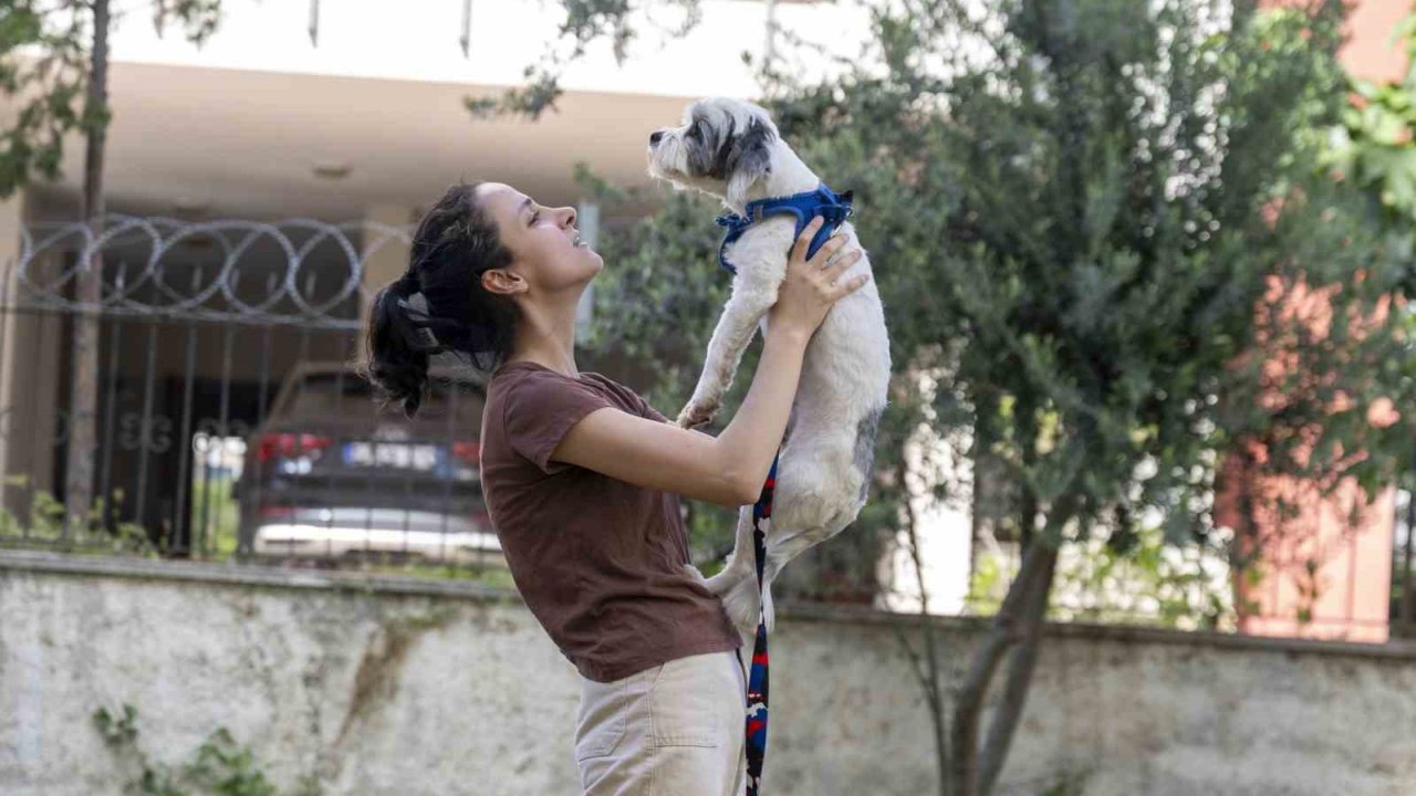 Mersin’de sahiplendirme kampanyasıyla bin 927 köpek yeni yuvasına kavuştu