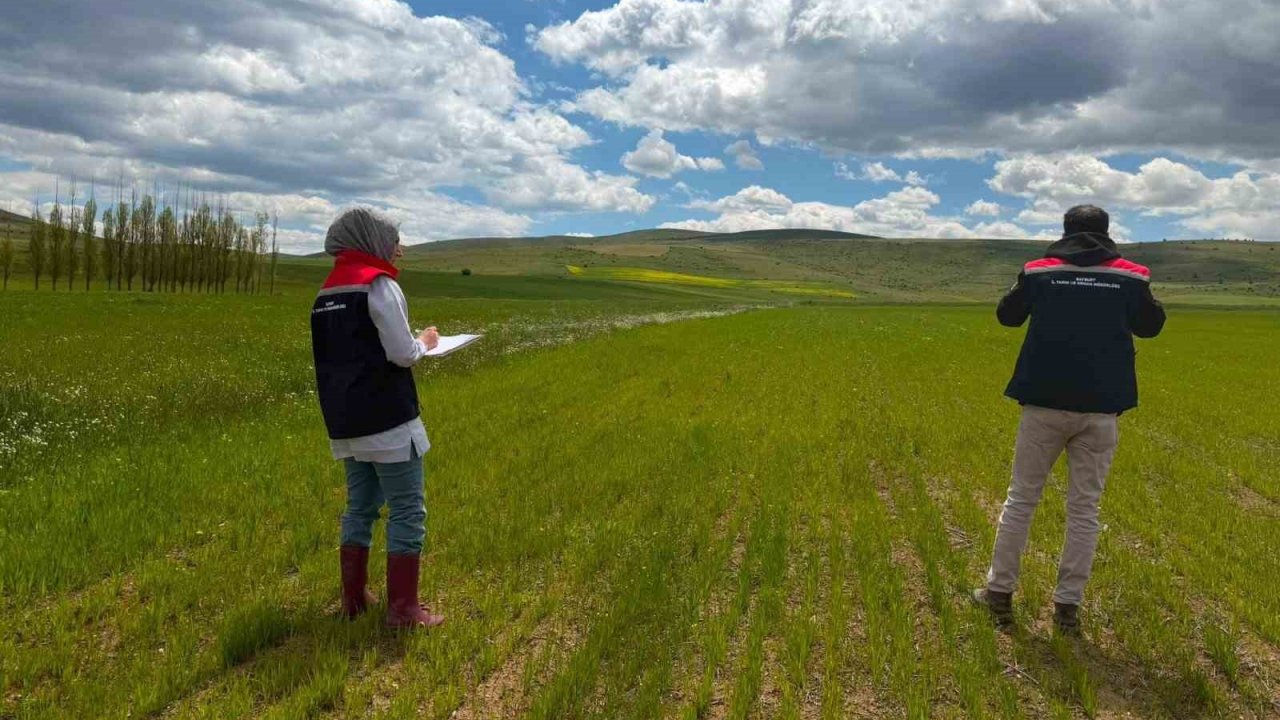 Bayburt’ta ÇKS ürün beyanı kontrolleri başladı