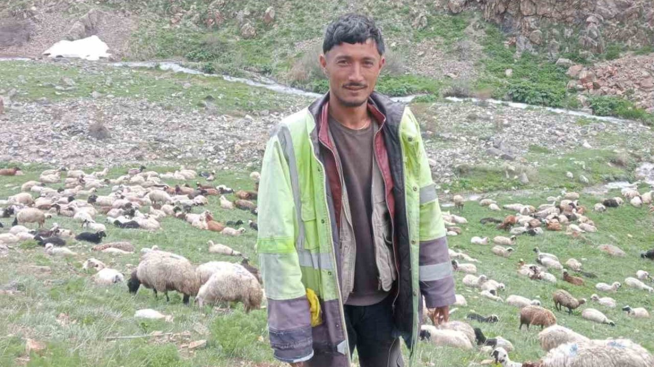 Ağrı’da kaçan cinayet zanlısı jandarma kontrol noktasında yakalandı