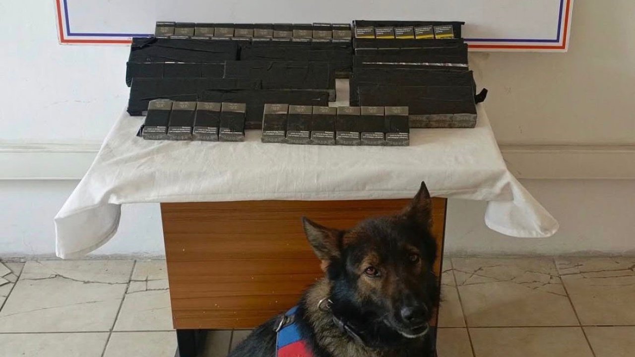 Diyadin’de 180 paket kaçak sigara yakalandı