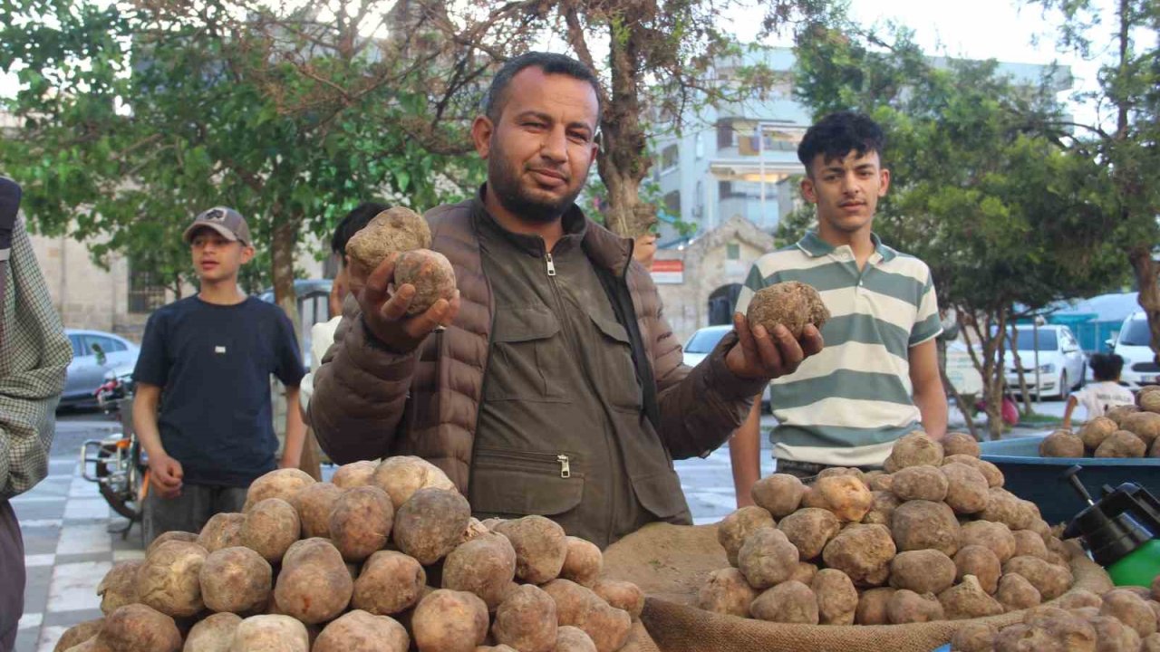 Şanlıurfa’nın vazgeçilmez lezzeti: Keme kebabı