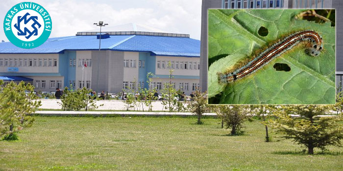Kafkas Üniversitesi’nden Kampüste Görülen Tırtıllara Karşı Alerji Uyarısı
