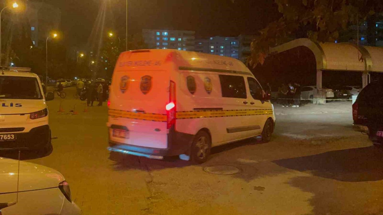Şanlıurfa’da silahlı kavga: Anne öldü, oğlu yaralandı