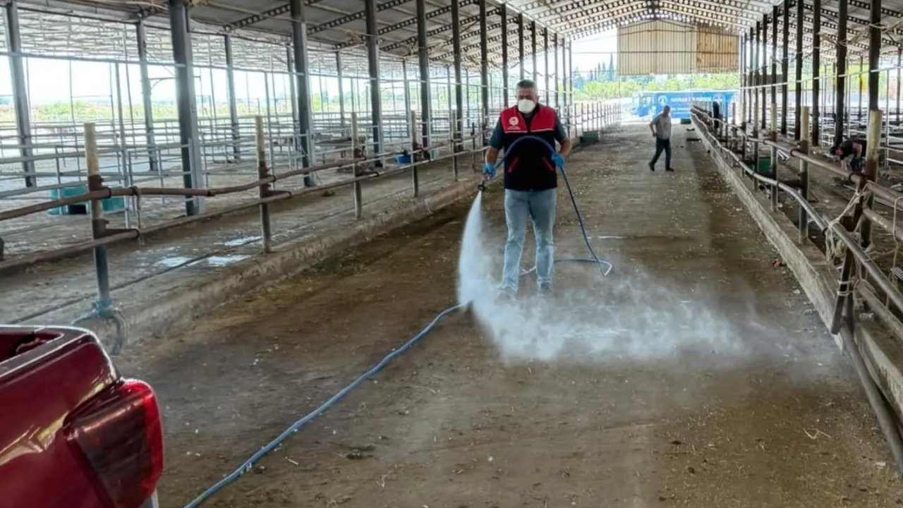 Havran’da kurban bayramı sonrası biyogüvenlik önlemi