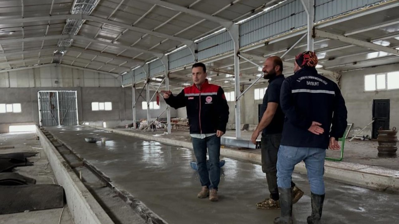 Aydıntepe’deki hayvancılık işletmelerinde kapasite değerlendirmesi yapılıyor