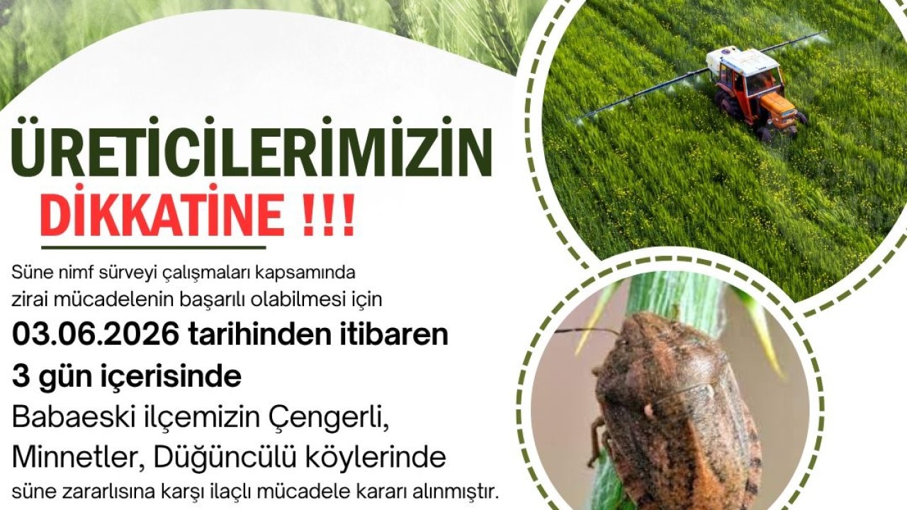 Kırklareli’nde süne zararlısına karşı ilaçlama uyarısı