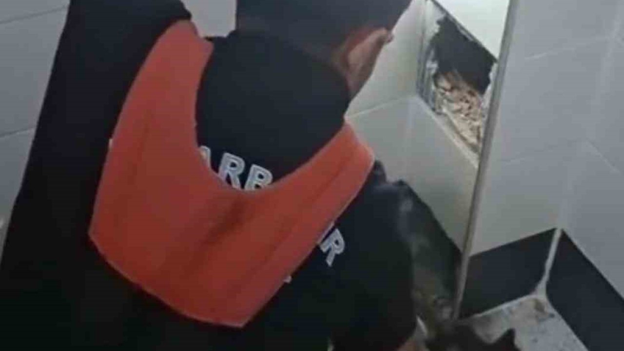 İtfaiye erleri havalandırma boşluğunda kalan kedi için seferber oldu