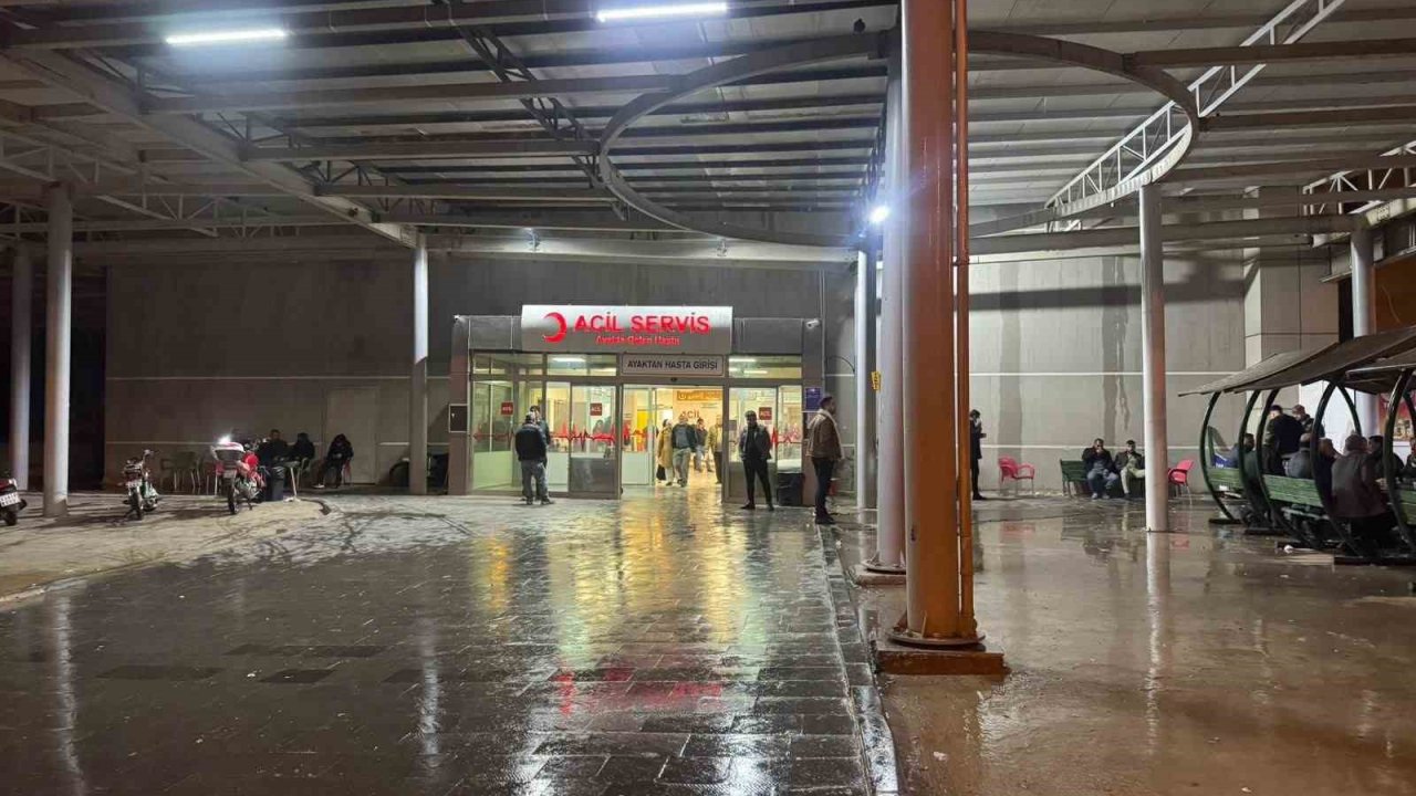 Tartıştığı amcasını vurdu