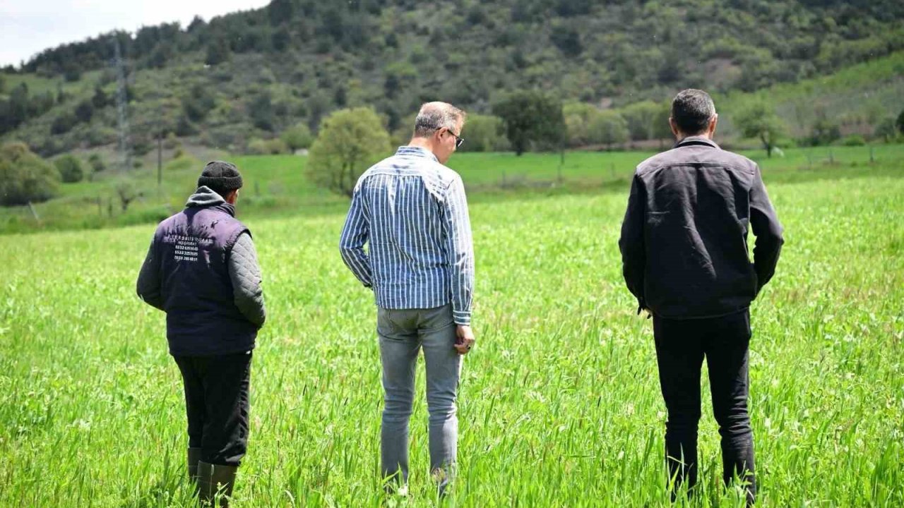 Manisa Büyükşehir’in toprakla buluşan tohumları yeşerdi