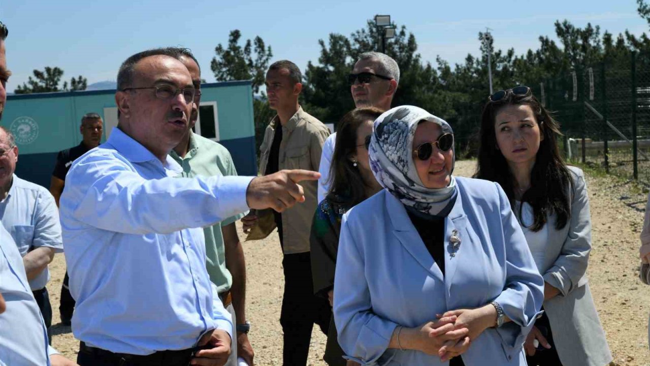 Tekirdağ Valisi Soytürk, Şarköy’deki sahipsiz hayvan doğal yaşam alanını inceledi