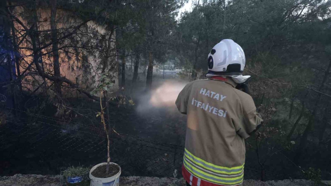 Hassa’da çamlık alan yangını
