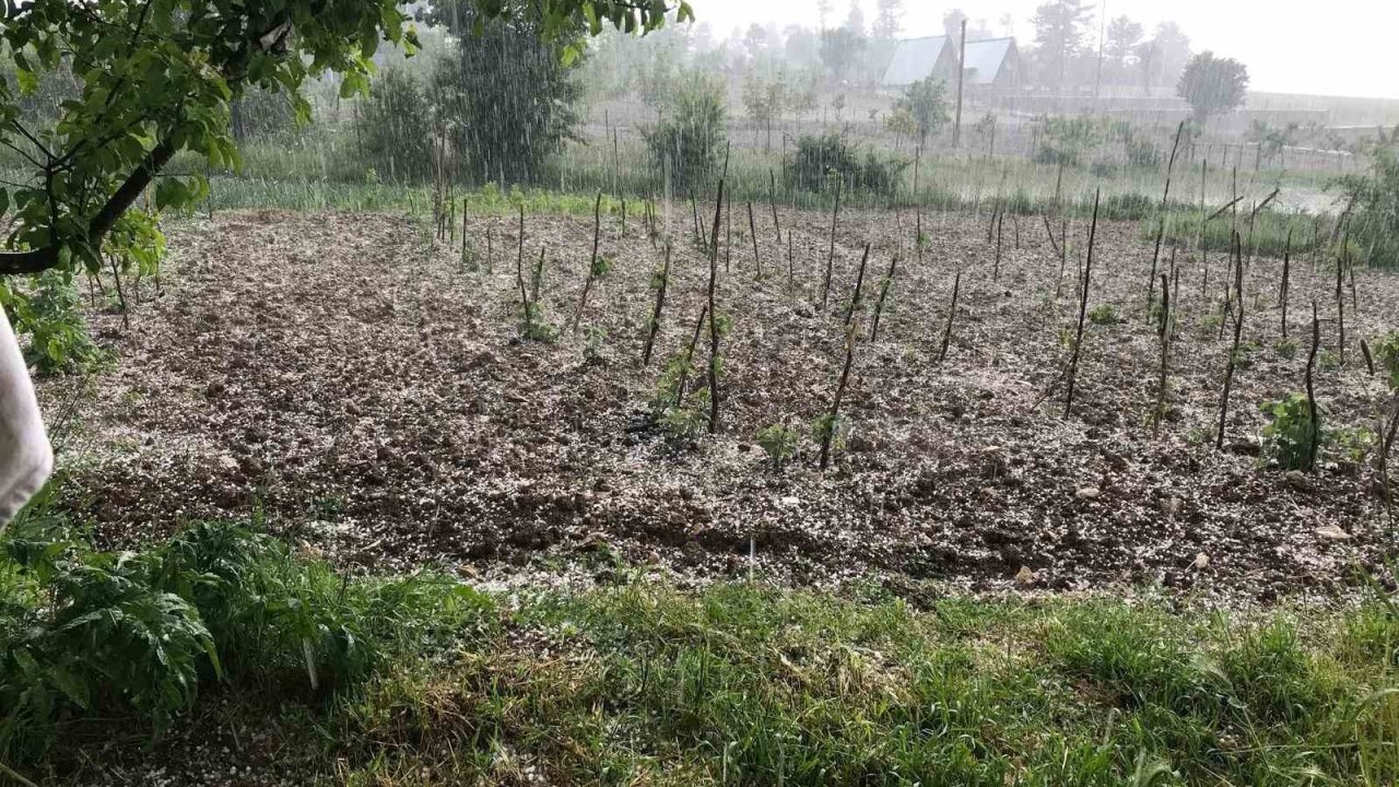 Bursa’da dolu… Keles’te tarım arazilerini dolu vurdu
