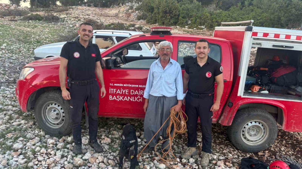 Mersin’de 70 metrelik mağarada mahsur kalan oğlak kurtarıldı