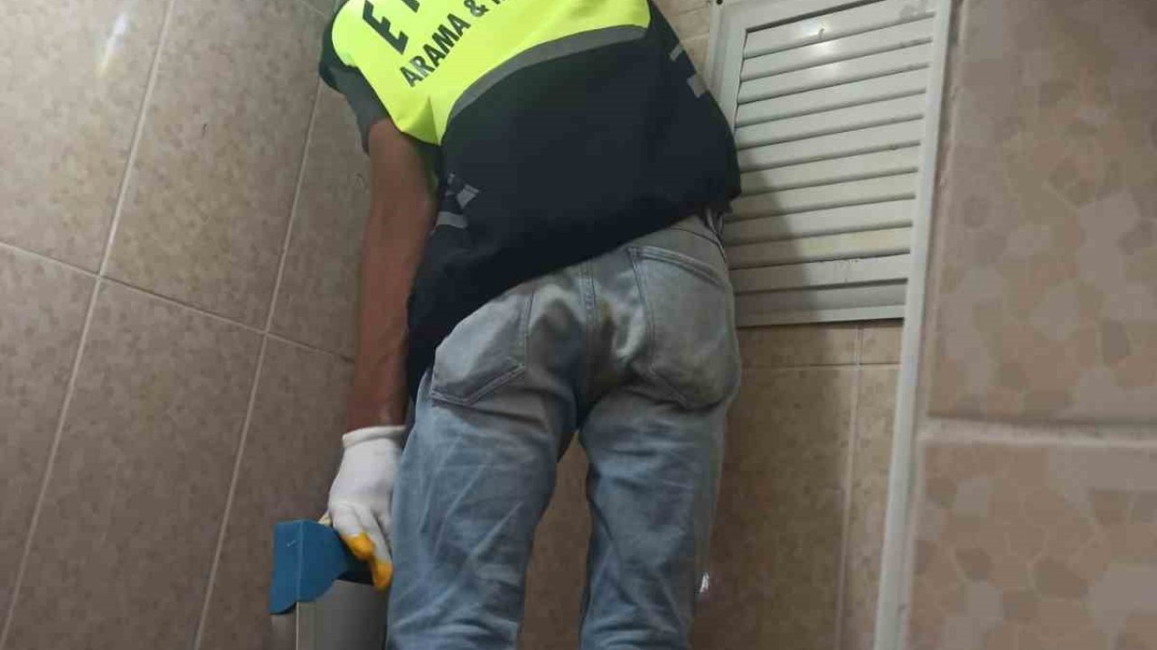 Siirt’te lavabo borusuna sıkışan yavru kedi kurtarıldı
