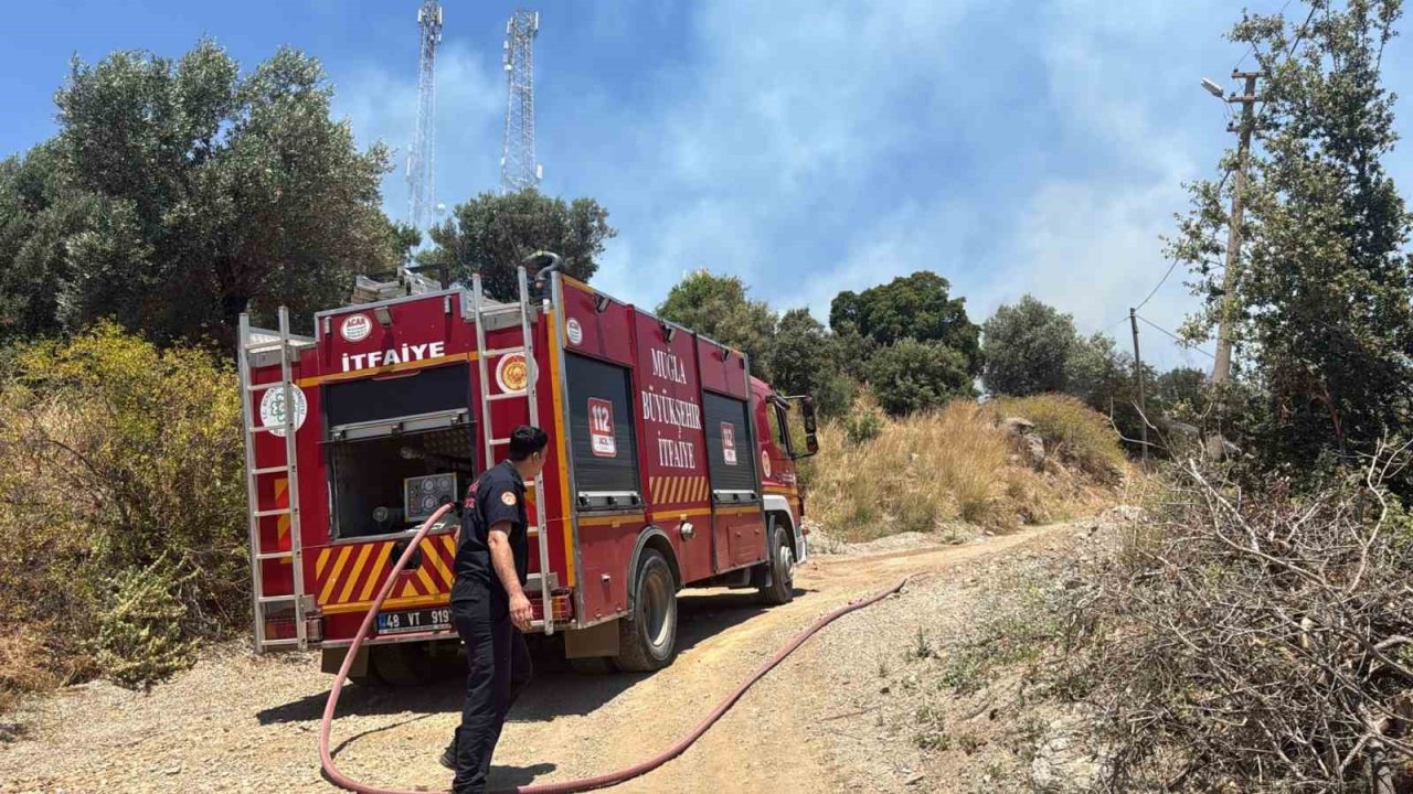 Bodrum’da çıkan yangın büyümeden söndürüldü