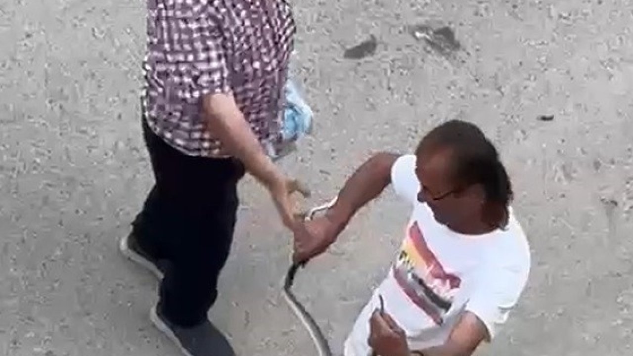 Paniğe sebep olan yılanı eliyle yakaladı