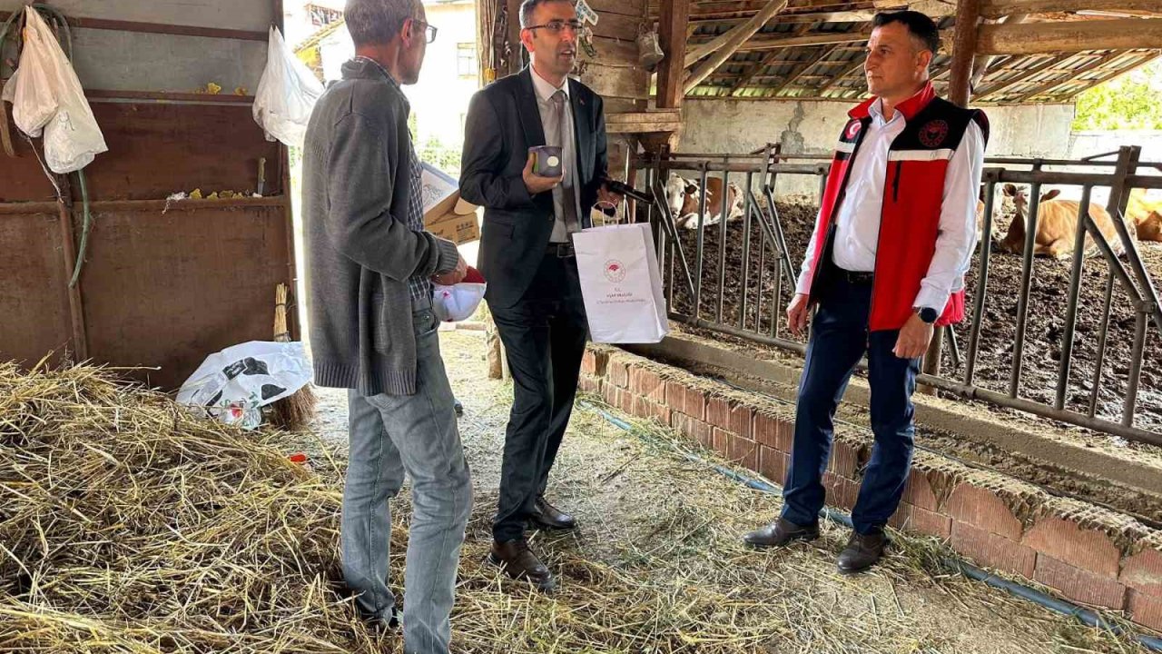 Uşak Tarım ve Orman Müdürlüğü ekipleri sahada incelemelerde 
