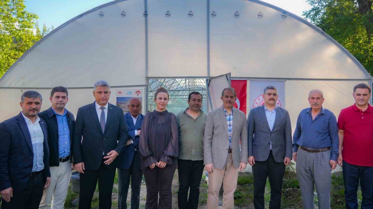 Hakkâri’de 362 bin 700 sebze fidesi dağıtıldı