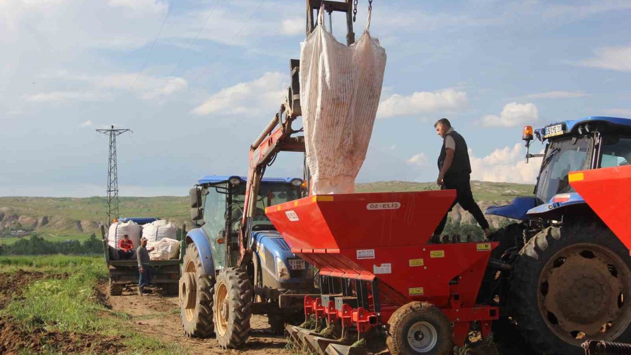 Sivas’ta patates ekim sezonu başladI, hedef 75 bin ton