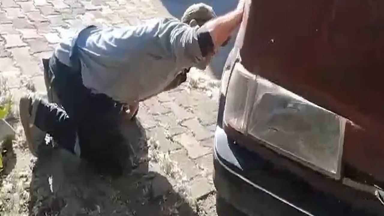 Tokat’ta aracın motor kısmına giren yılanı itfaiye ekipleri kürekle yakaladı