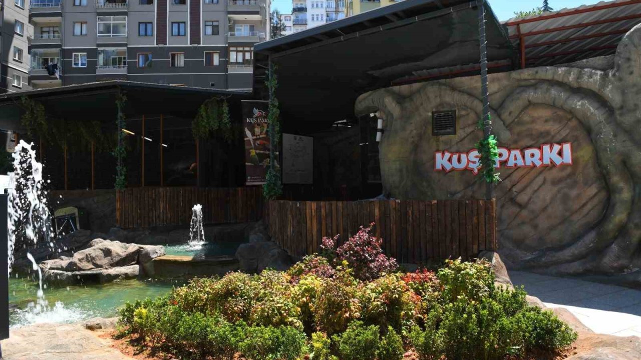 Trabzon’da kuş parkı ilgi çekiyor