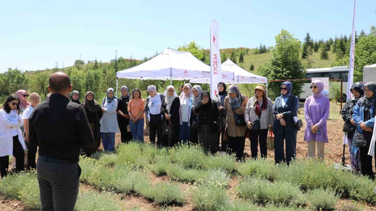 Bozkırların altın çiçeğinde hasat sevinci