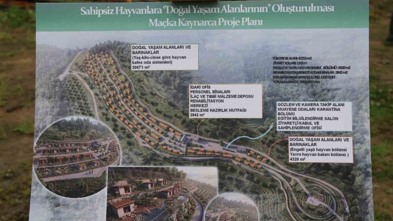 Trabzon’da sokak köpeklerine ev sahipliği yapacak yeni bir barınak inşa edilecek