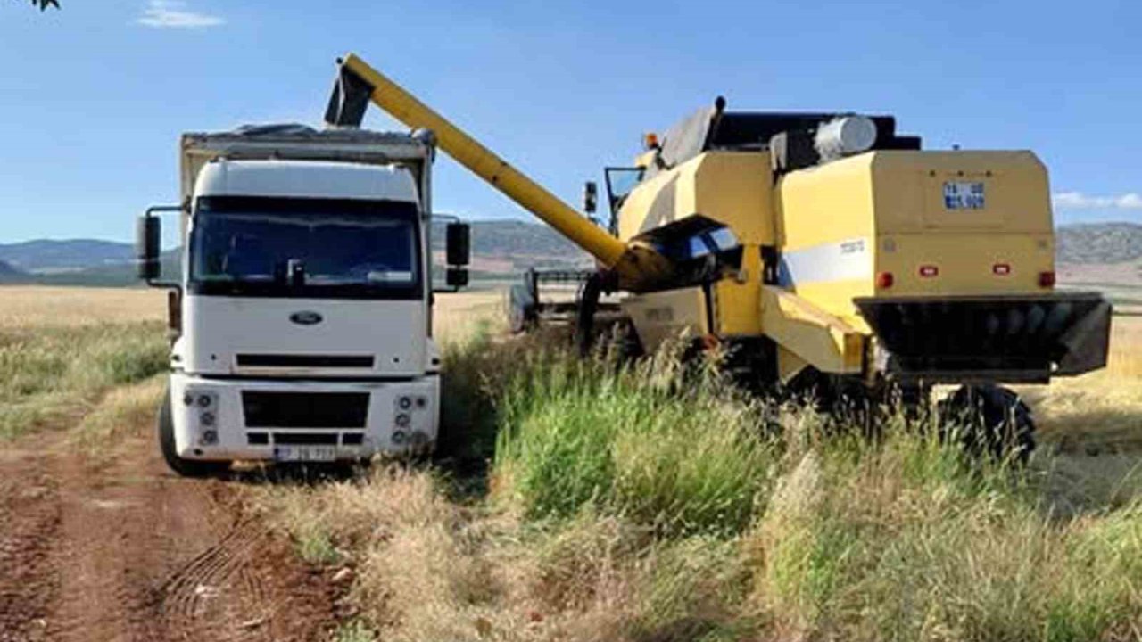 Araban Ovası’nda arpa hasadı yapılmaya başlandı