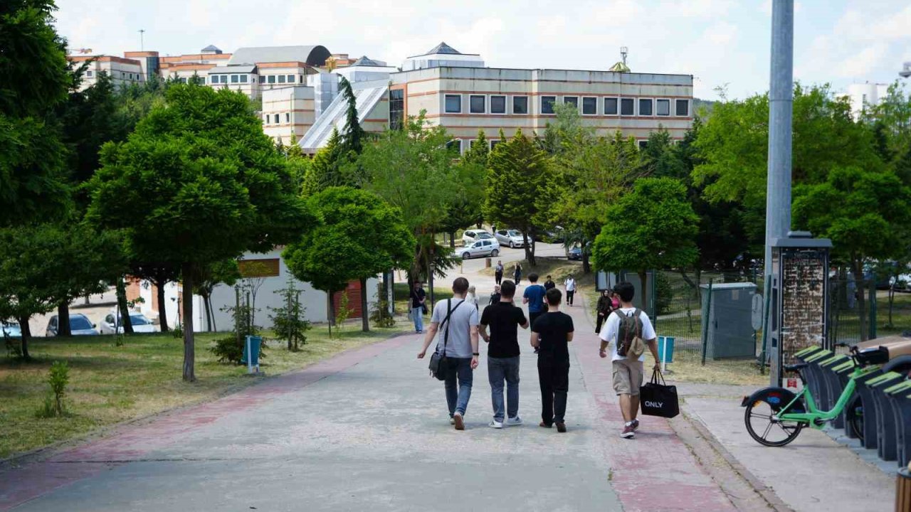 Kocaeli Üniversitesi’nde sahipsiz köpekler azaldı, öğrencilerin endişesi bitmedi