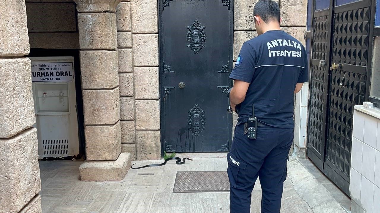 Namaza gelen cemaat karşılaştıkları yılanı önce oyuncak sandı, hareket edince telefona sarıldı